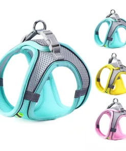 Cat Dog Harness Vest Chest Rope Set Reflective Breathable Adjustable Pet Harness for Small Medium Dogs Outdoor Walking 1
