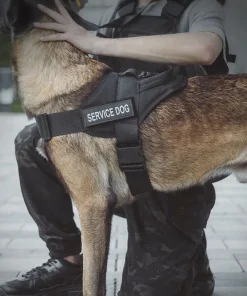 Tactical Dog Vest Harness – Adjustable Military Training & Patrol Vest with Handle 4