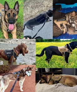 Military Tactical Dog Harness – Large & Medium Pet Vest for German Shepherds & Malinois 6