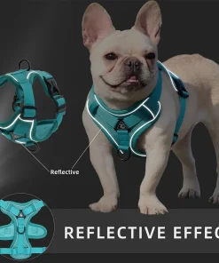 No-Pull Dog Harness & Leash Set – Adjustable Reflective Vest for Small Dogs & Cats 5