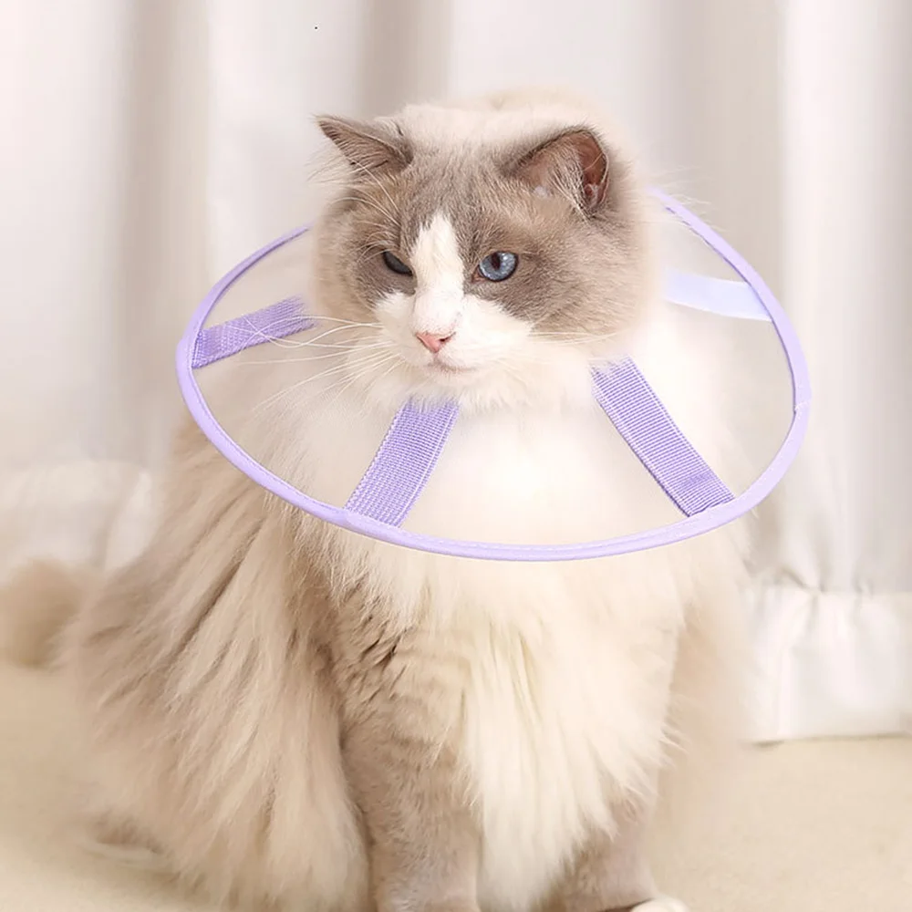 Lightweight Mesh Cat Recovery Cone – Adjustable Breathable Anti-Lick Collar for Cats 2