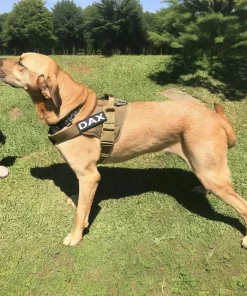 Tactical Dog Vest Harness – Adjustable Military Training & Patrol Vest with Handle 5