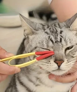 Pet Tear Stain Remover Comb – Gentle Eye Cleaning Brush for Dogs & Cats 4