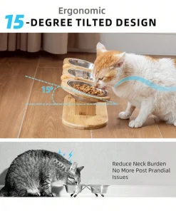 3-in-1 Raised Cat Feeder with Stainless Steel Bowls – 15° Tilt Food & Water Bowl for Cats and Puppies 3