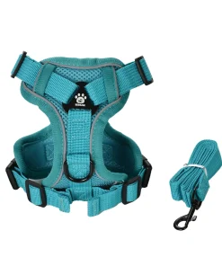 Reflective Dog & Cat Vest Harness Leash Set – Adjustable Chest Strap for Small Dogs & Puppies 2