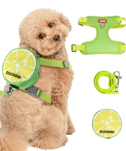 Cute Fruit Pet Backpack Chest Strap Set – Anti-Slip Breathable Harness for Dogs & Cats 3