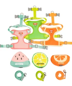 Cute Fruit Pet Backpack Chest Strap Set – Anti-Slip Breathable Harness for Dogs & Cats 6