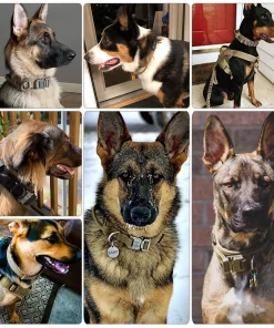 Tactical Dog Collar – Adjustable Heavy Duty Training Collar for Medium & Large Dogs 6