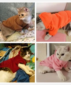 Warm Autumn & Winter Cat Hoodie – Cozy Pet Clothes for Cats and Small Dogs 2