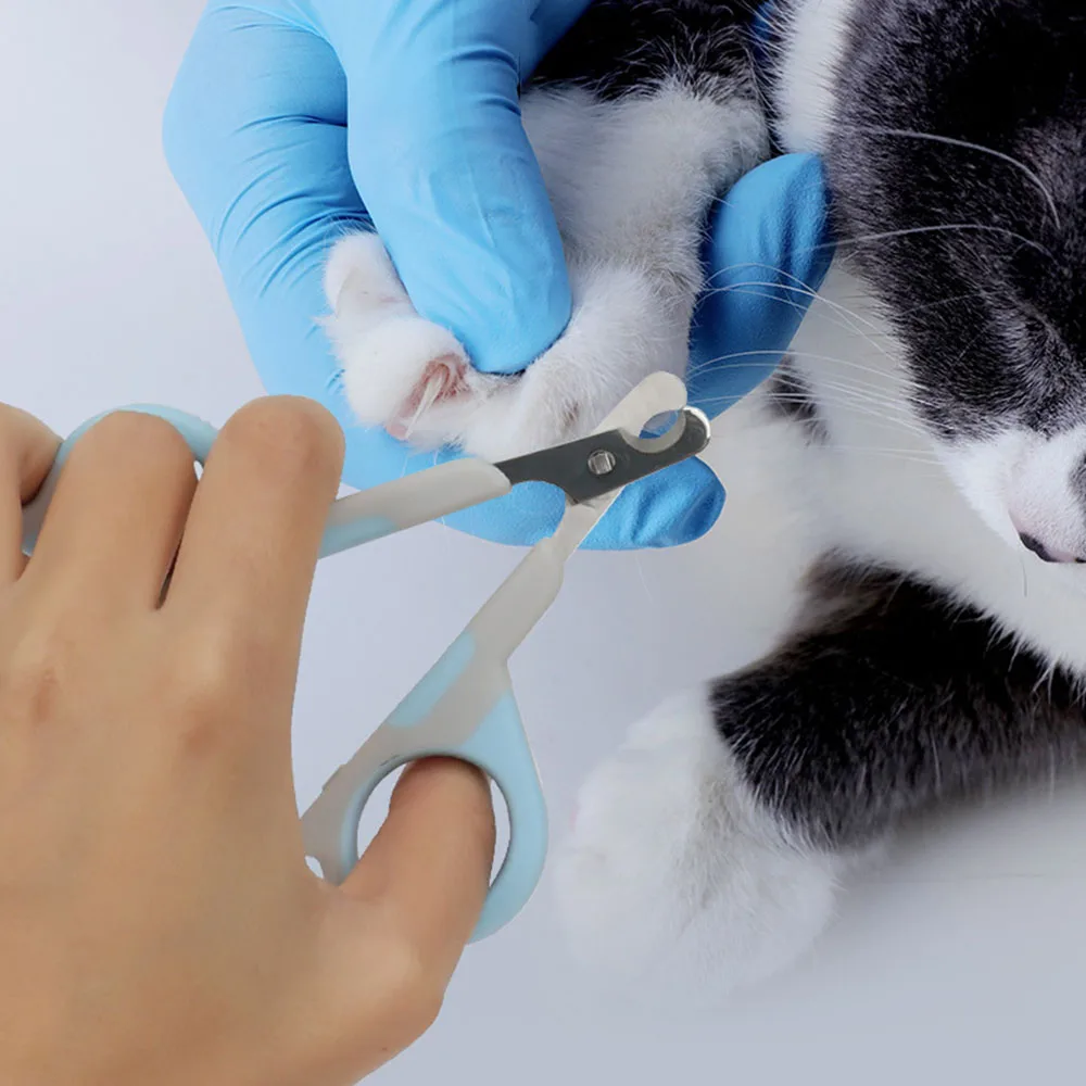 Professional Pet Nail Clippers for Cats & Small Dogs – Sharp Grooming Scissors for Puppies 2