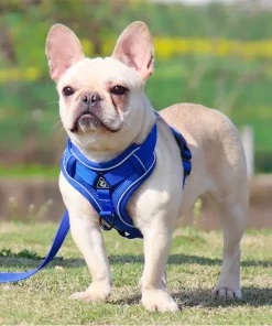 No-Pull Dog Harness & Leash Set – Adjustable Reflective Vest for Small Dogs & Cats 6